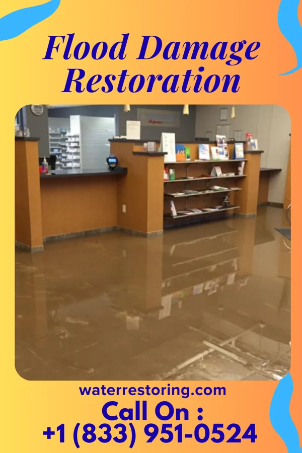Flood Damage Restoration in Holmesville, NE